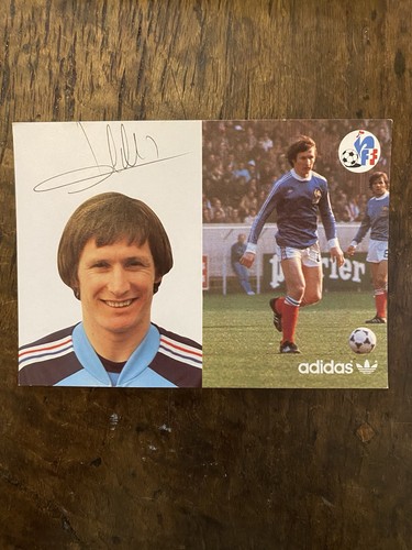 Carte postale adidas specht - adidas,