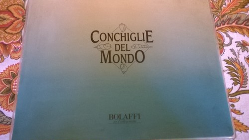 Collezione conchiglie del - conchiglie,