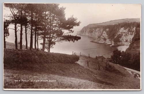 Pines view beer devon - view,