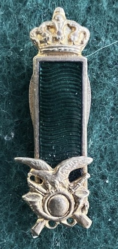 Distintivo pin spilla alpino - pin,