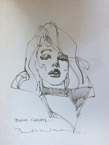 Bill sienkiewicz grande - bill,