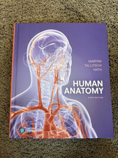 Human Anatomy. Martin