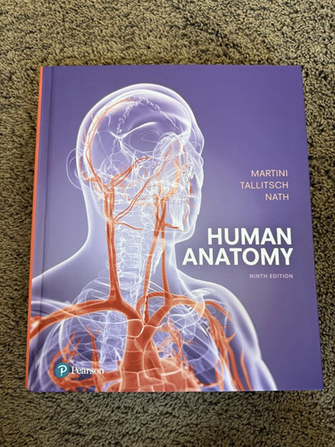Human anatomy martin - human, anatomy.