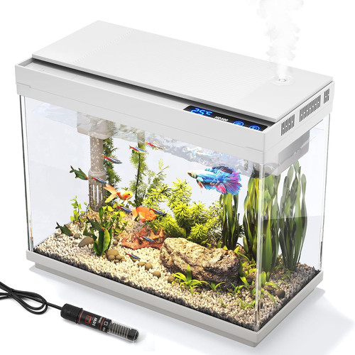 Acquario vasca per pesci - acquario,,