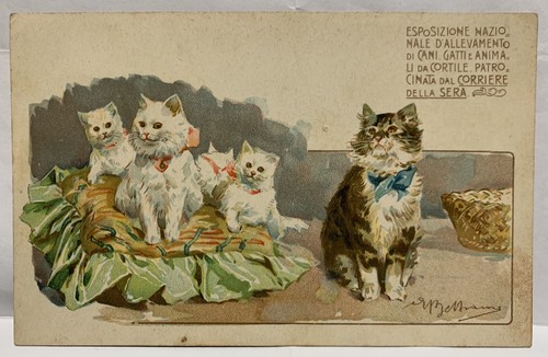 Cartolina pubblicitaria