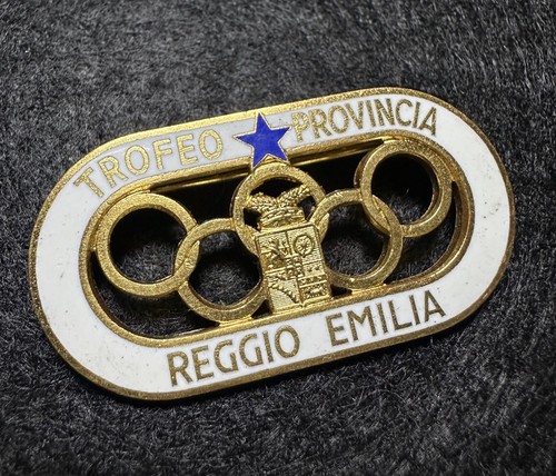 Distintivo trofeo provincia - distintivo,