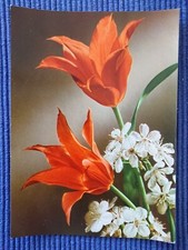 Vecchio Cartolina Ak Biglietto Artistico Rossi Tulipani Obstblüten 50er Anni