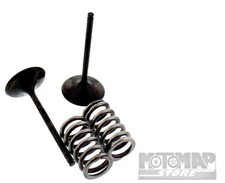 KIT CONVERSIONE VALVOLE MOTORE ASPIRAZIONE YAMAHA YZ F 250 WR F 250 2001 AL 2014