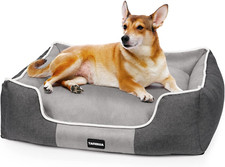 Cuccia per Cani, Cuccia Cane