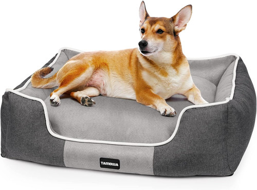 Cuccia per cani - cani,,