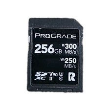 Scheda di memoria professionale ProGrade Digital SDXC 256 GB UHS-II V90 300R Iridium