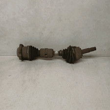 46307687 Semialbero ant