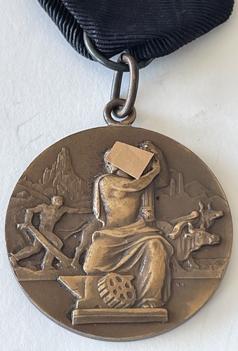 Medaglia consiglio - medaglia,