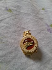 Distintivo Regg. Marina San Marco BTG Lupo