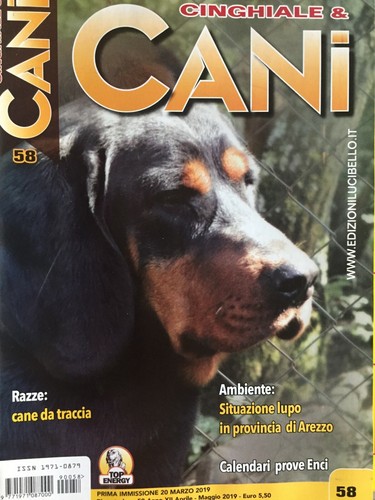 Cinghiale cani 2019 58 - cinghiale,