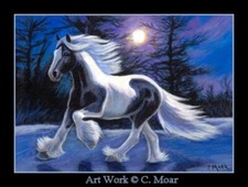Gypsy Vanner Horse Moon Night