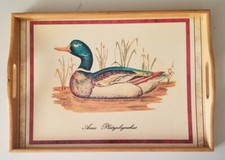 Anas Platyrhynchus, Mallard