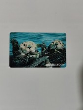 SCHEDA TELEFONICA ANIMALI PER