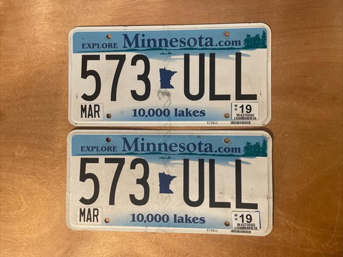 Coppia targhe minnesota 2019 - minnesota,