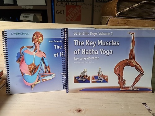 Ray long the key muscles - long,