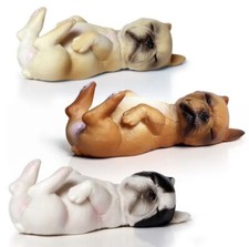 3 pezzi Bulldog cane animale