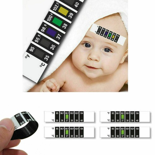 Strisce termometro lcd - 5x,
