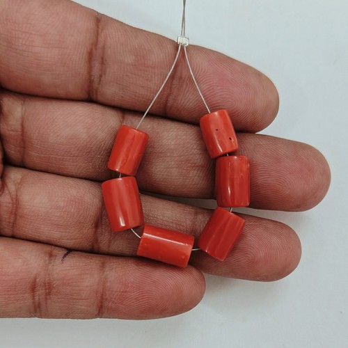 Autentico corallo rosso