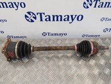 TRASMISSIONE POSTERIORE