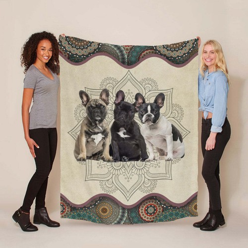 Divertente bulldog francese - divertente,