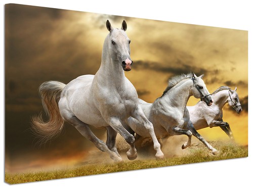Quadro moderno cavalli - moderno,