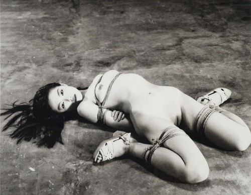 Araki nobuyoshi untitled - nobuyoshi, |