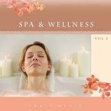 Spa wellness von various - spa,