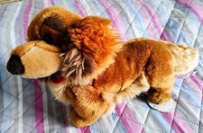 TRUDI 22862 CANE BASSOTTO