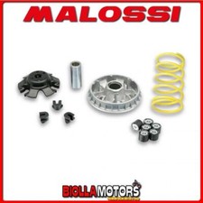 5118627 VARIATORE MULTIVAR