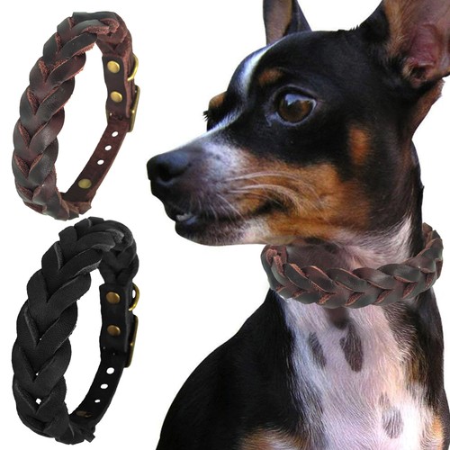 Collare per cani pelle - collare,