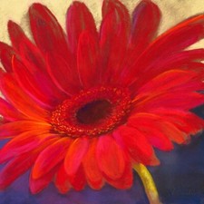 Quadro Fiori Margherita Rossa