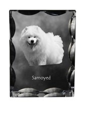 Samoiedo,Samoiedo,Samojedenhun