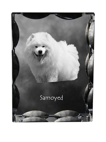 Samoiedo,Samoiedo,Samojedenhun