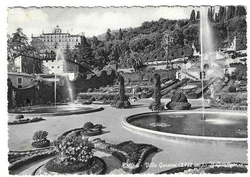 Collodi 1954 - 1954, pistoia