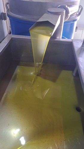 Olio extravergine oliva - olio,