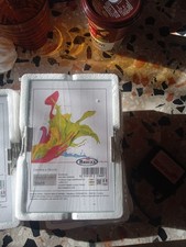 Lotto di 11 cornici a giorno