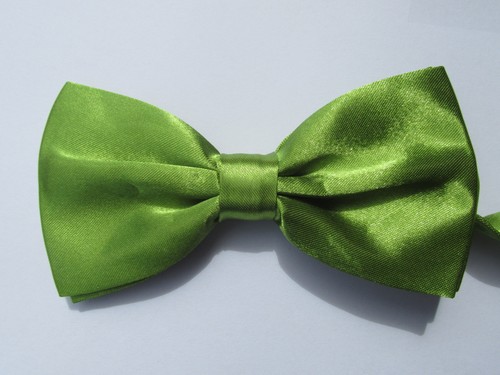 Papillon farfalla seta raso - papillon,