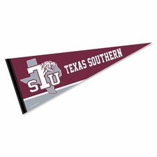 Pennant in feltro Texas