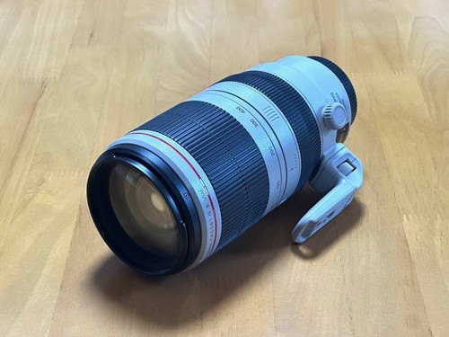 Canon 100 400mm - canon, f4.5-5.6l
