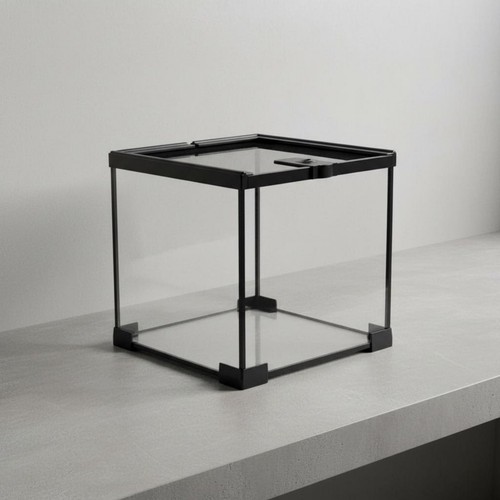 Terrario cristallo con - cristallo,