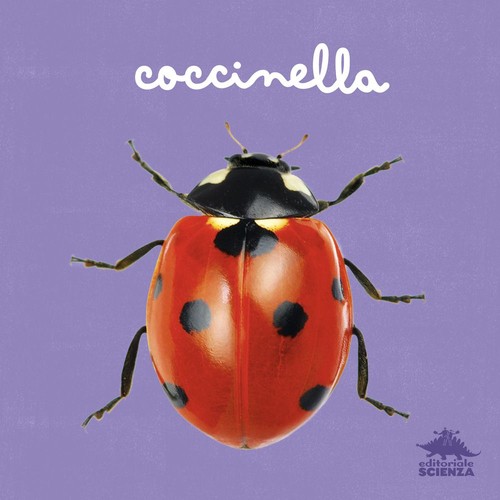 Libro doria micol - doria,