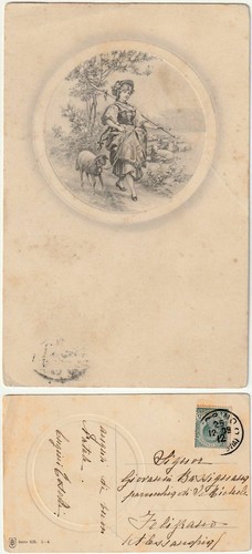 Illustratore pecoraia - illustratore,
