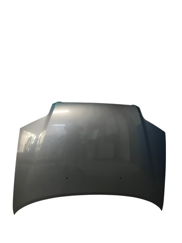 Cofano anteriore strisciato - cofano,