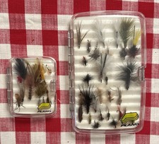 Mosche con scatola mosca Plano