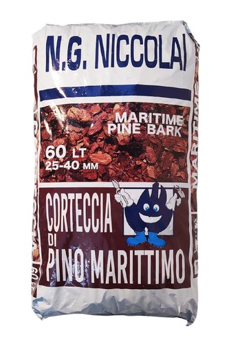 Niccolai corteccia pino - ng, di